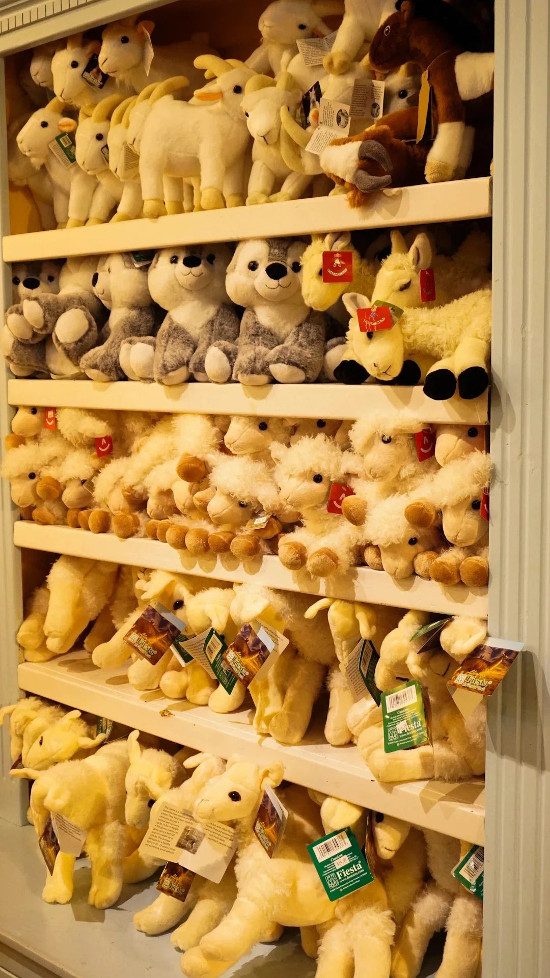 La Sécurité des Peluches : Guide Essentiel pour Parents - Choupinoo