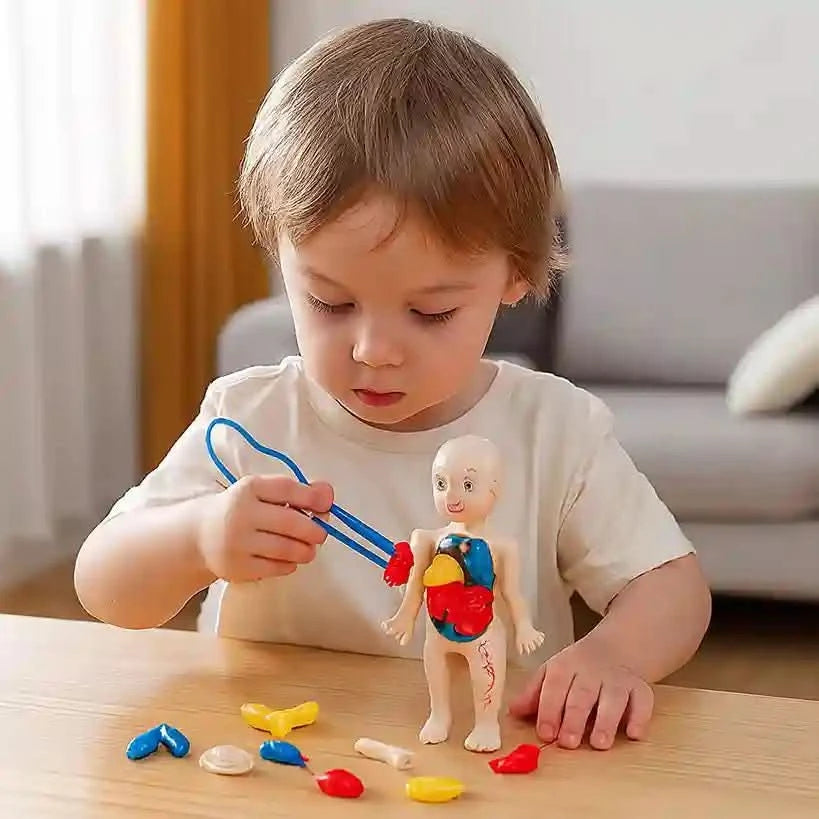 Jouet Montessori corps humain pour enfant - Choupinoo