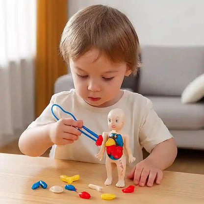 Jouet Montessori corps humain pour enfant - Choupinoo