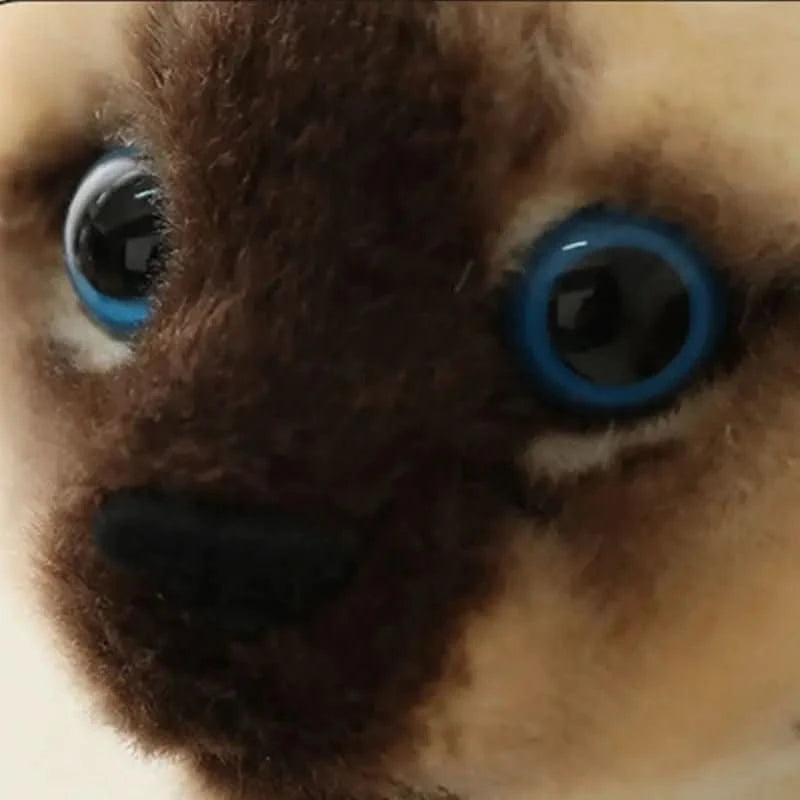 Peluche chat réaliste - Choupinoo