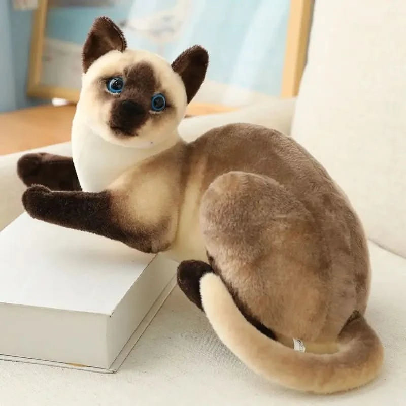 Peluche chat réaliste - Choupinoo